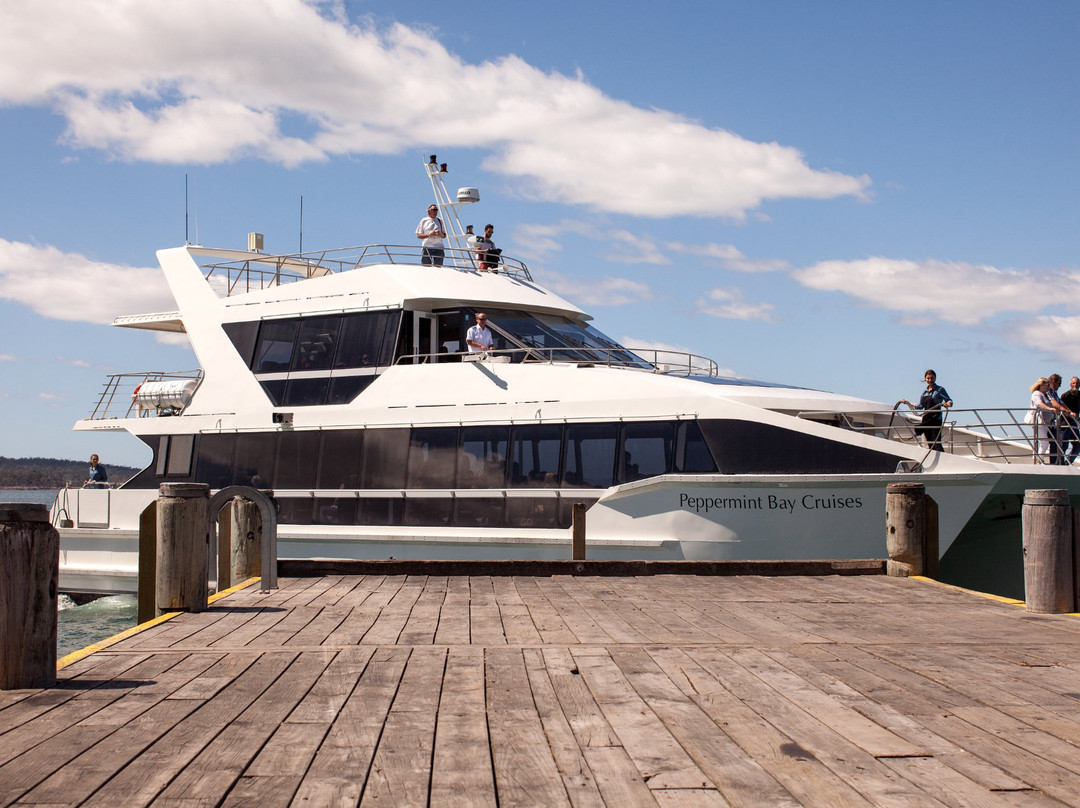 Peppermint Bay Day Cruises-霍巴特必去景点