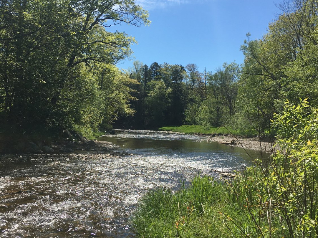 Salt Springs Provincial Park-Pictou必去景点