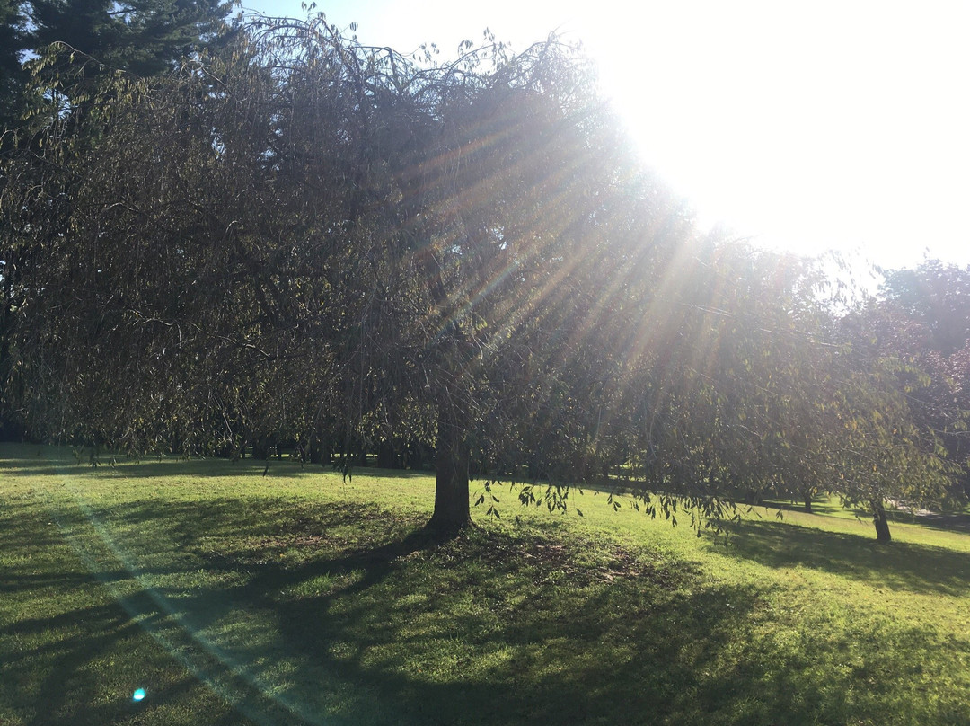 Valley Garden Park-Greenville必去景点