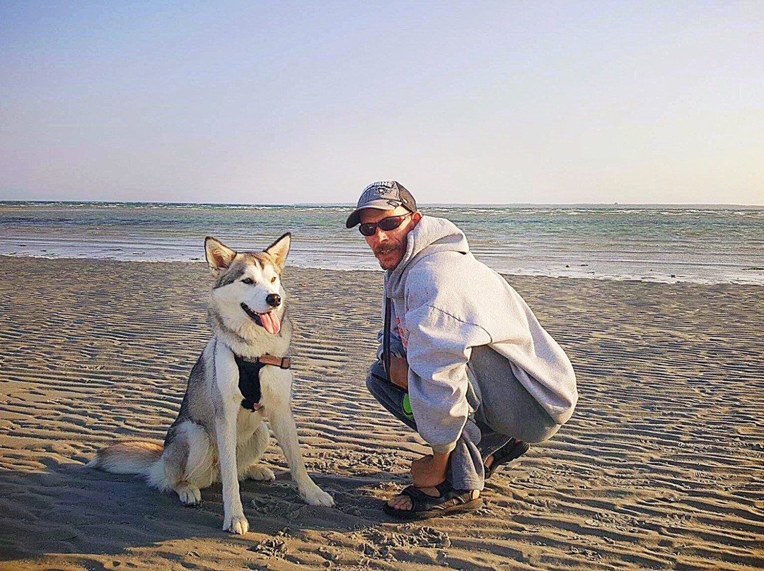 Sand Hills Beach Provincial Park景点图片