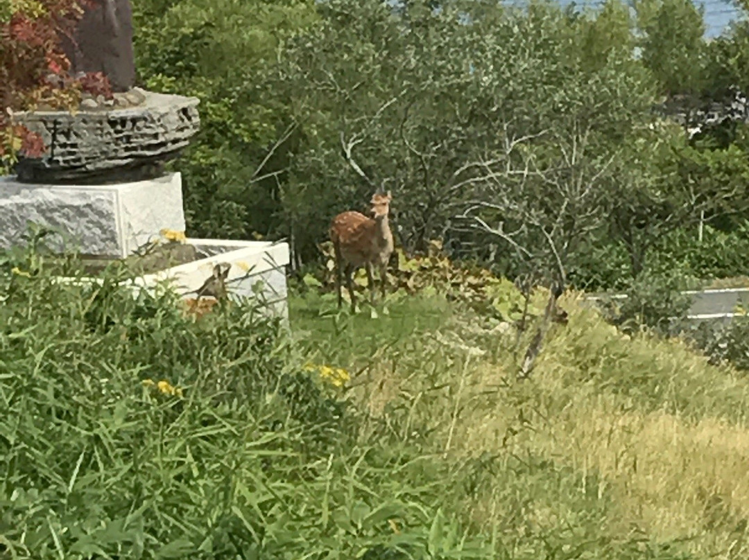 Wakkanai Footpath Wakkanai Park 100th Year Memorial Tower Course-稚内市必去景点