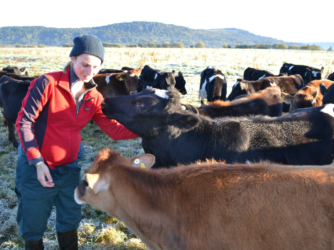 Farwest Farm Tours景点图片