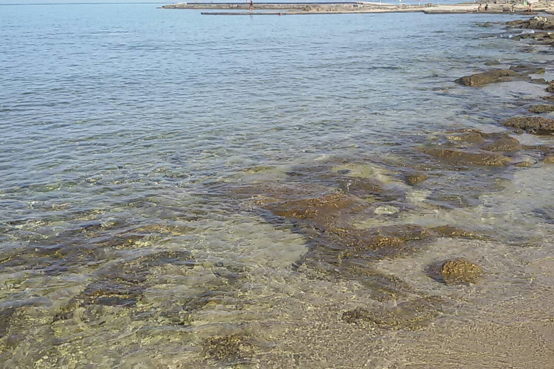 Net Beach景点图片