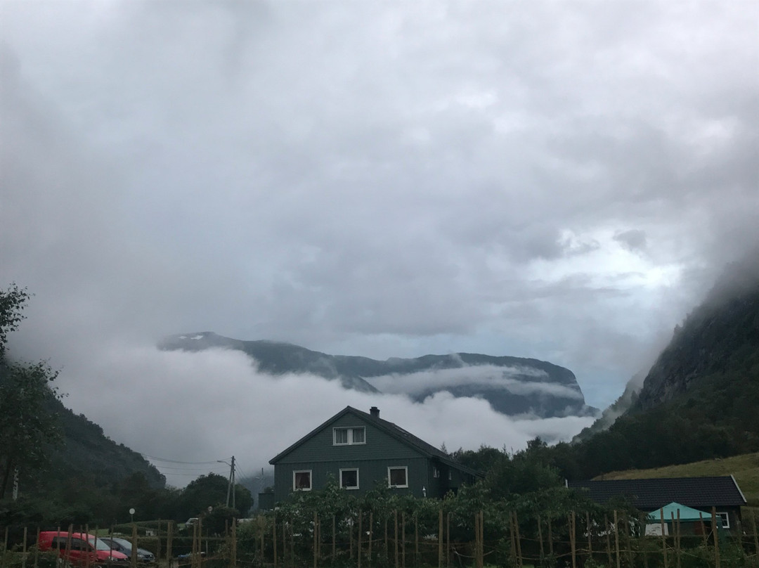 Aurland Apple Farm主图
