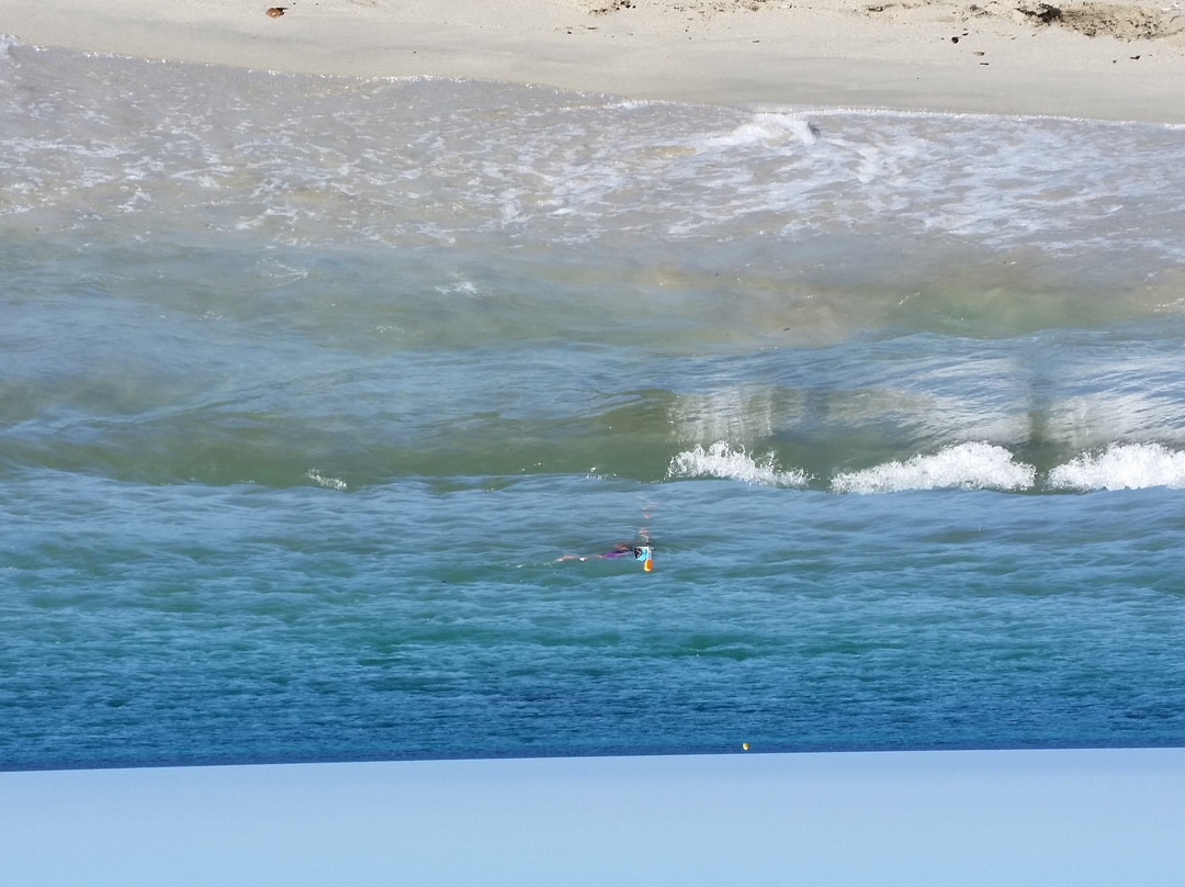 Plage de Vignale景点图片
