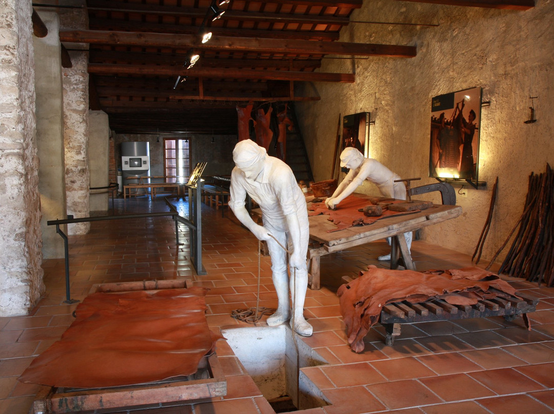 Museu de la Pell d'l Igualada景点图片