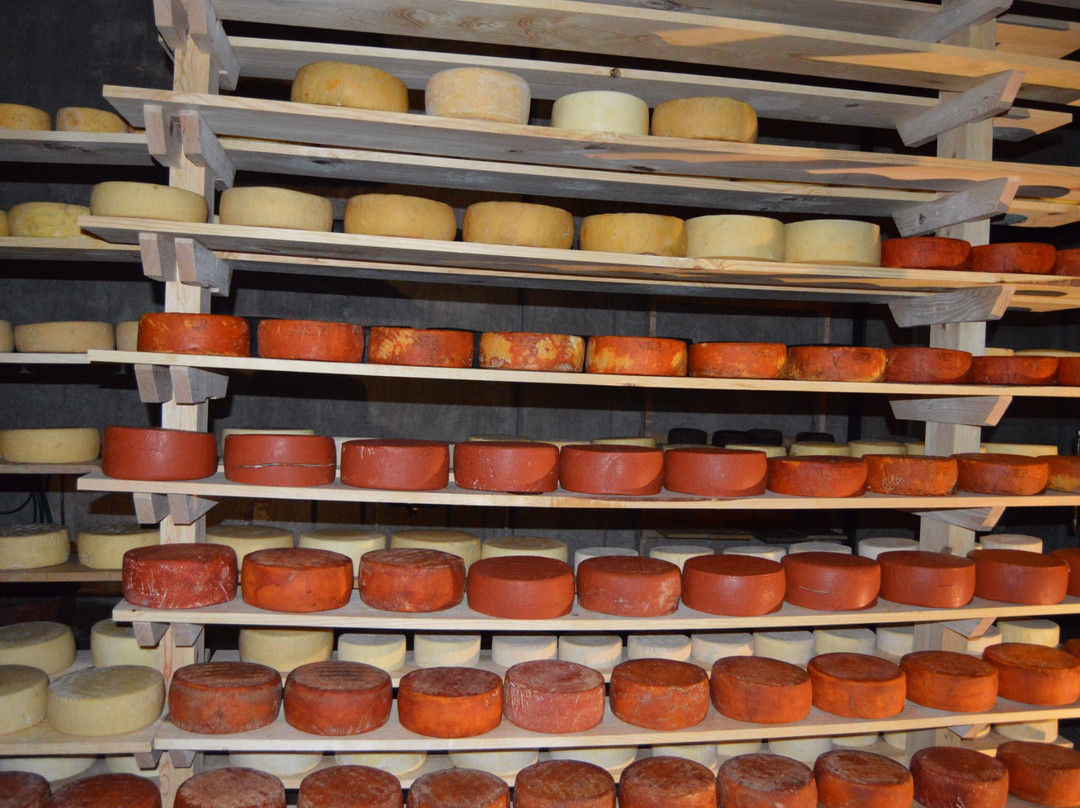 Queseria Neole-Tequisquiapan必去景点