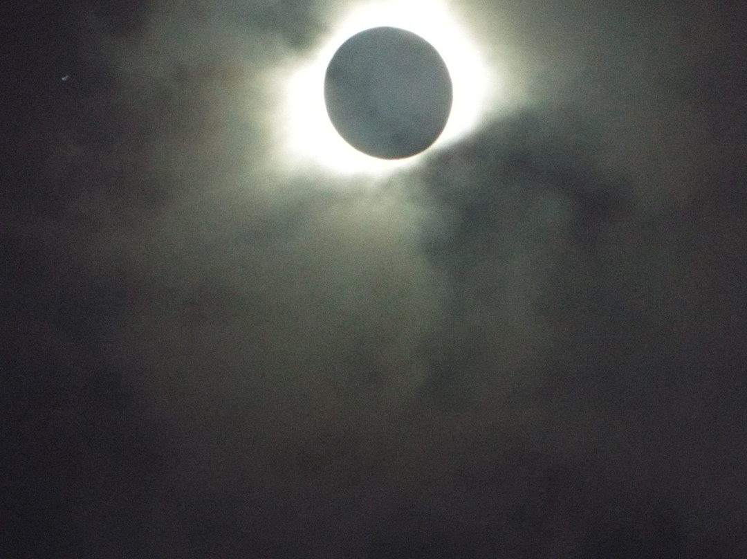 Walker Bluff Winery-Carterville必去景点