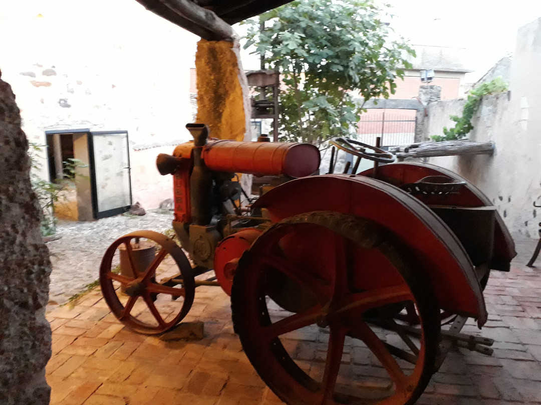 Escalaplano旅游景点-Museo Omu Axiu Della Famiglia Vargiu