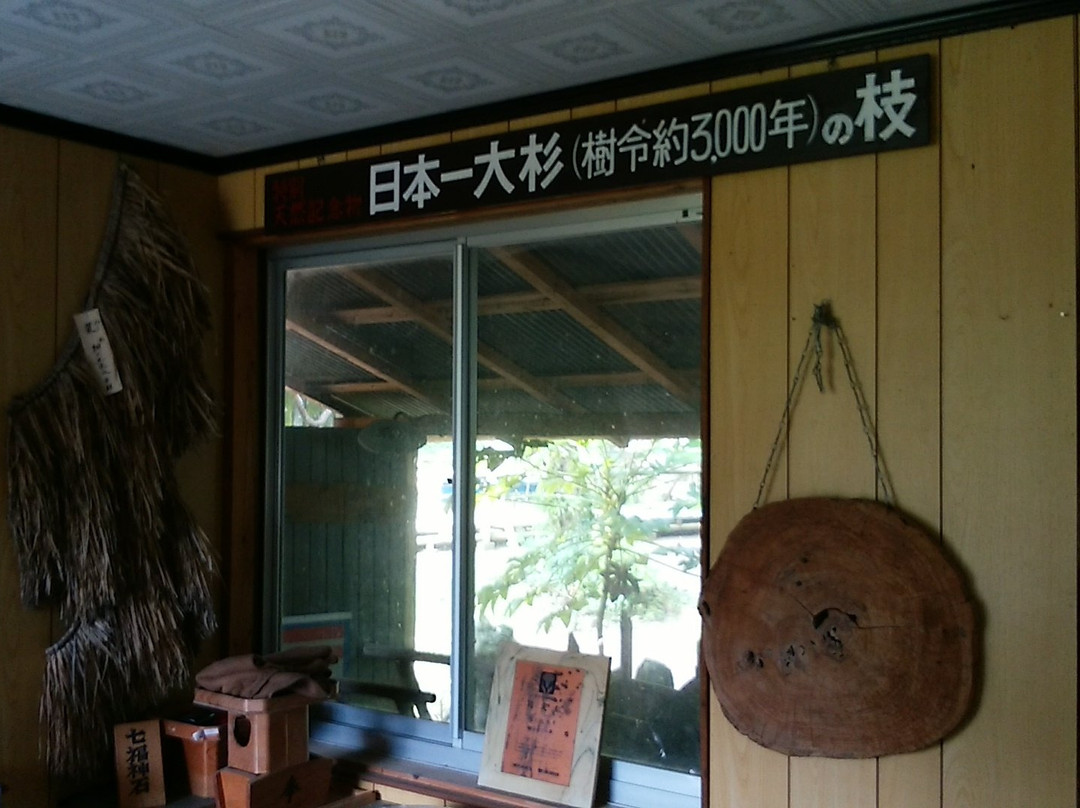 Nihon Ichi Osugi Museum-大豊町必去景点