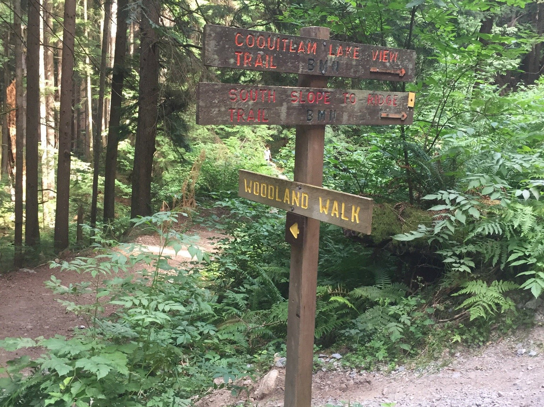 Woodland Walk Trail景点图片