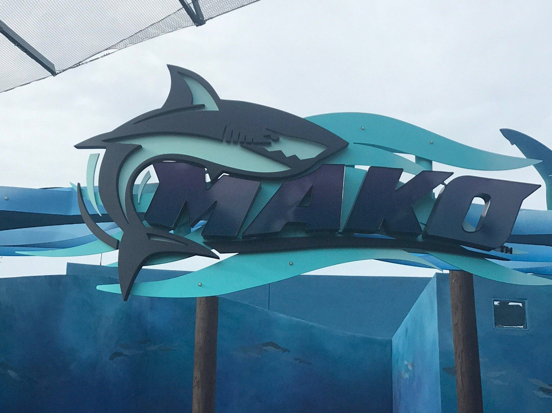 Mako-奥兰多必去景点