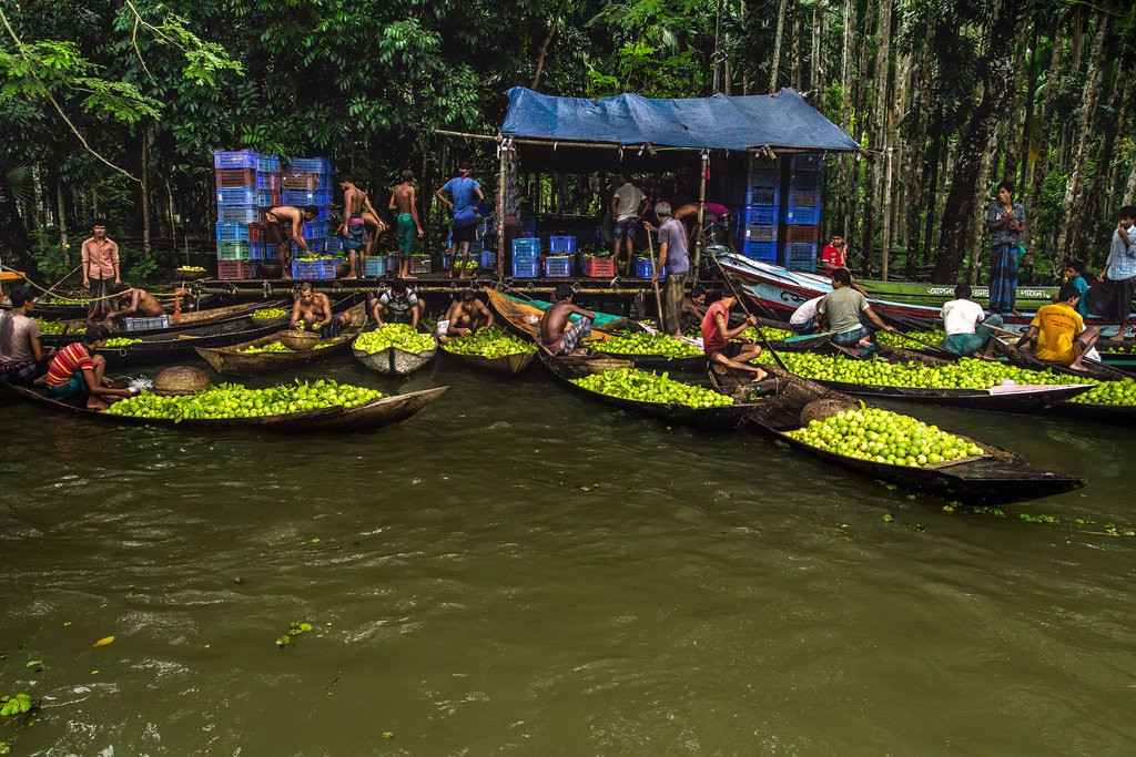Guava Market-Barisal City必去景点