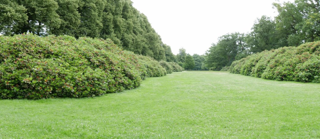 Schenefeld旅游景点-Hirschpark