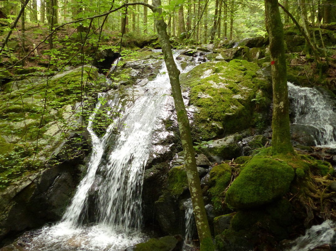 Sentier De La Goutte Des Saules-Plancher-les-Mines必去景点