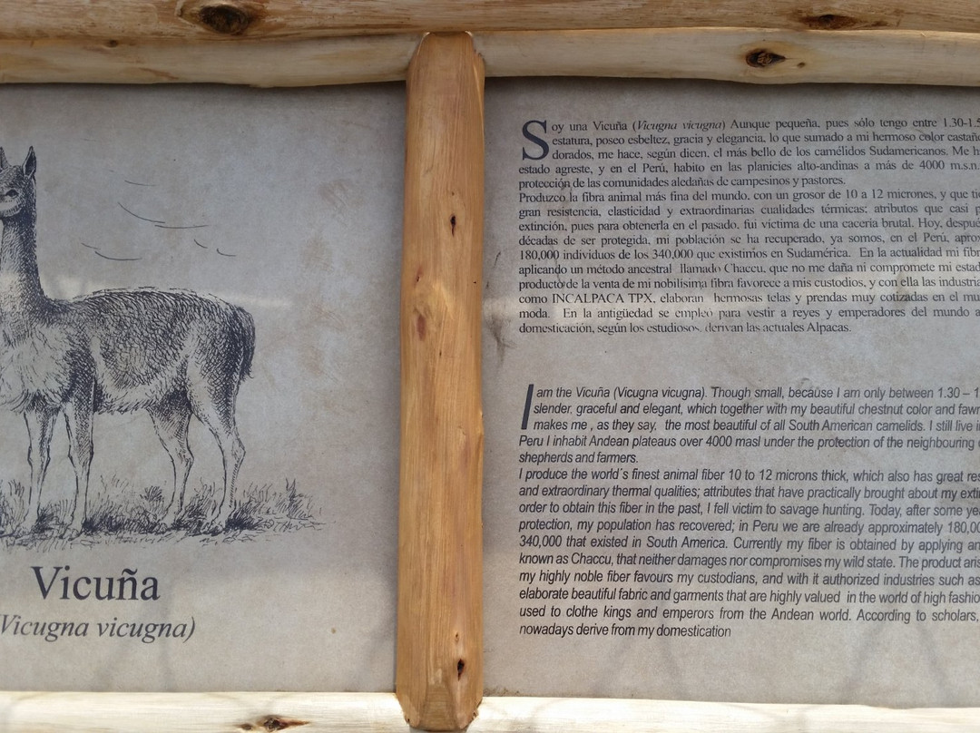 Incalpaca-阿雷基帕必去景点