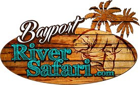Bayport River Safari-Weeki Wachee必去景点