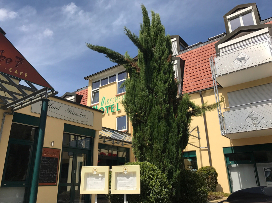 Beim Hirschen