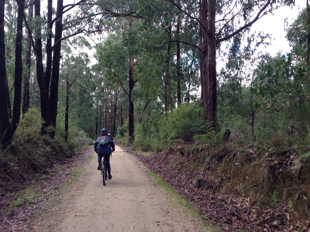 Grand Ridge Rail Trail-Mirboo North必去景点