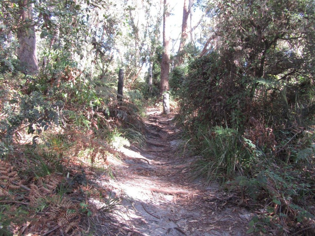 Crackneck Lookout Coast Walk景点图片