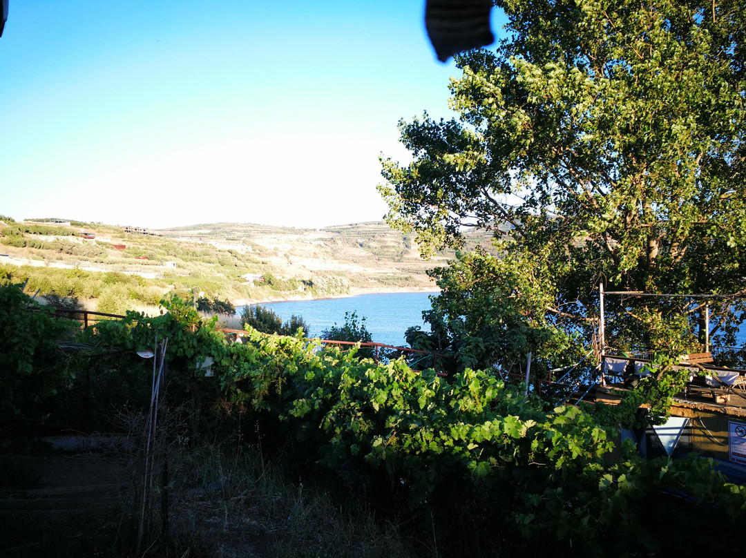 Bambook Park-马萨达必去景点