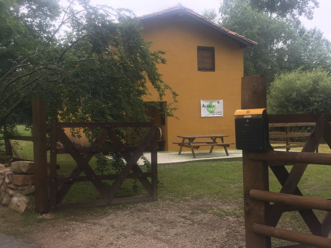 Alpacas de la Tierruca景点图片