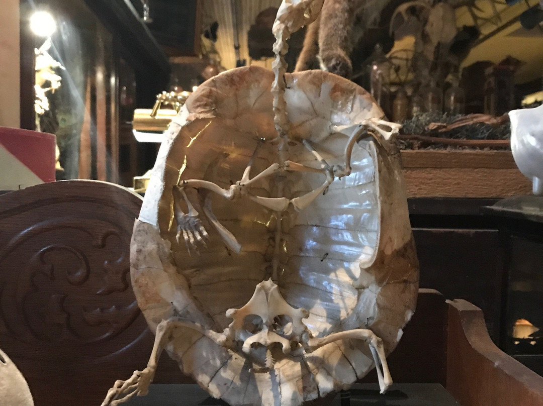 Main Street Museum-White River Junction必去景点