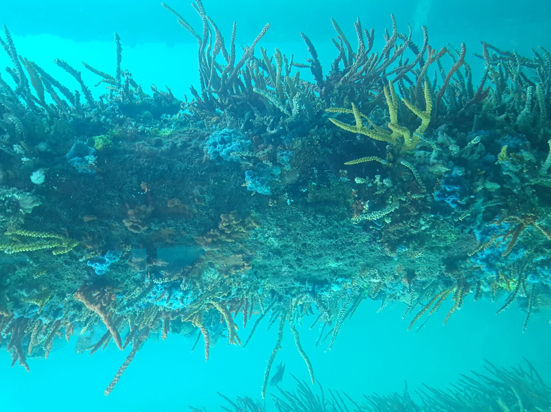 Libertino Travel - Private Tours-珀斯必去景点