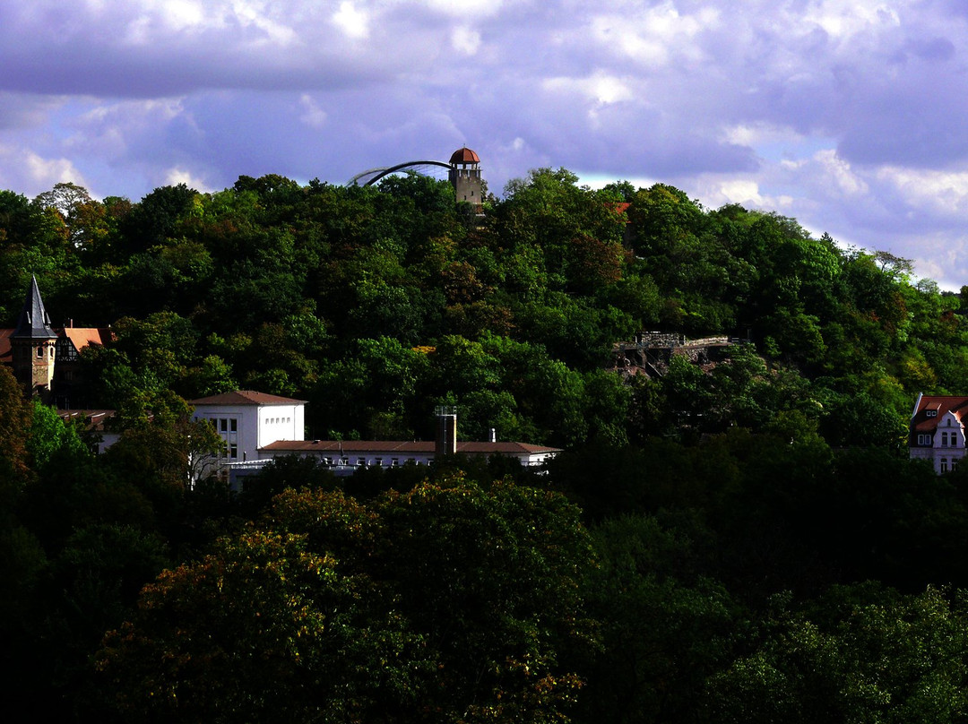 Zoo Halle (Mountain Zoo)