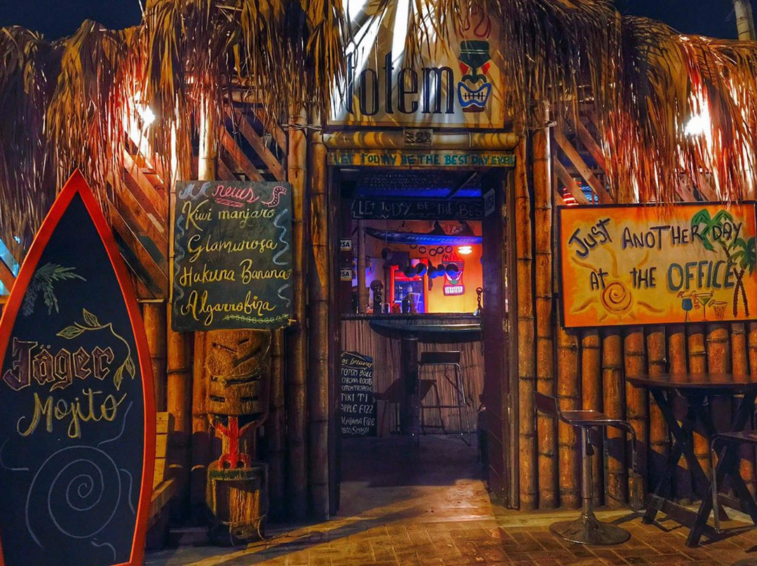 Totem Eco bar-皮斯科必去景点