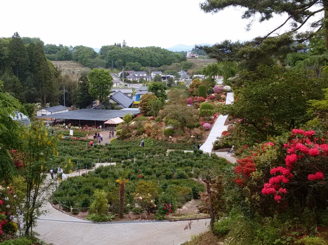 Okanbara Tsutsuji Garden-须贺川市必去景点