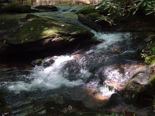 Martins Creek Falls-Clayton必去景点