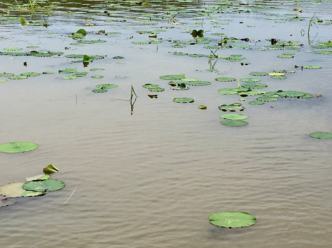 WildNative Tours-Spanish Fort必去景点