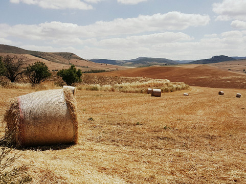 Xtreme ASD-Enna必去景点