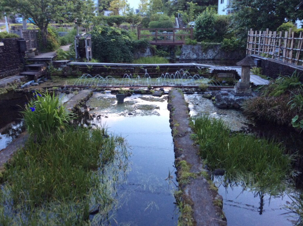 Mishima Baikamo no Sato景点图片