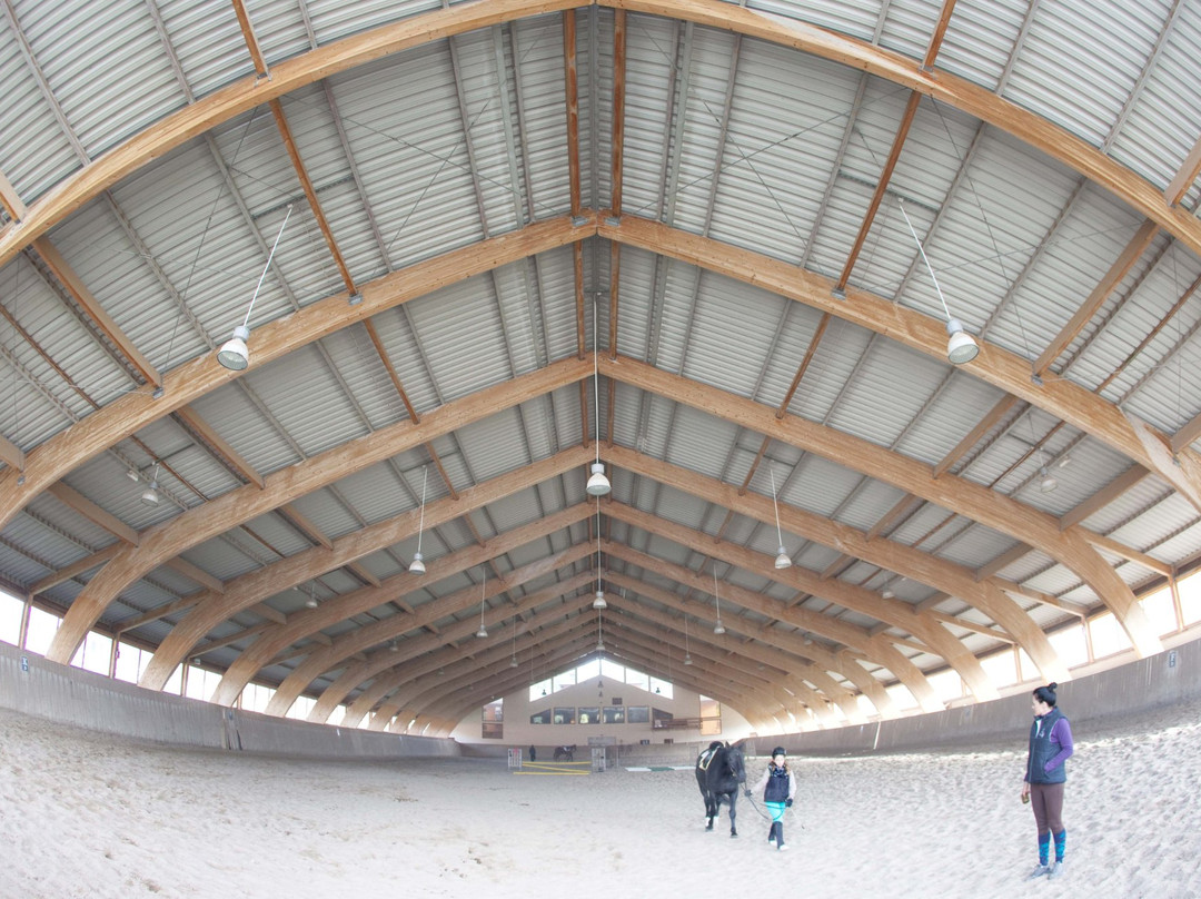 Stable Gostar景点图片