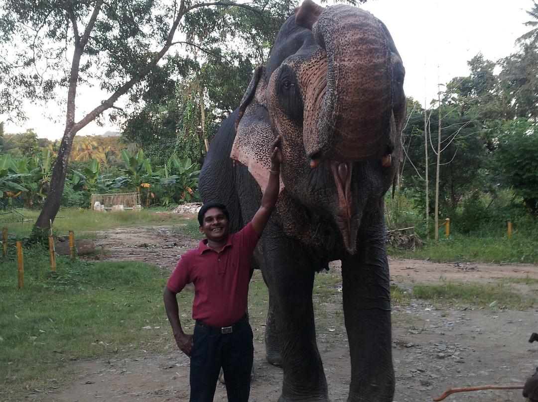 Friends Private Tours-加勒必去景点