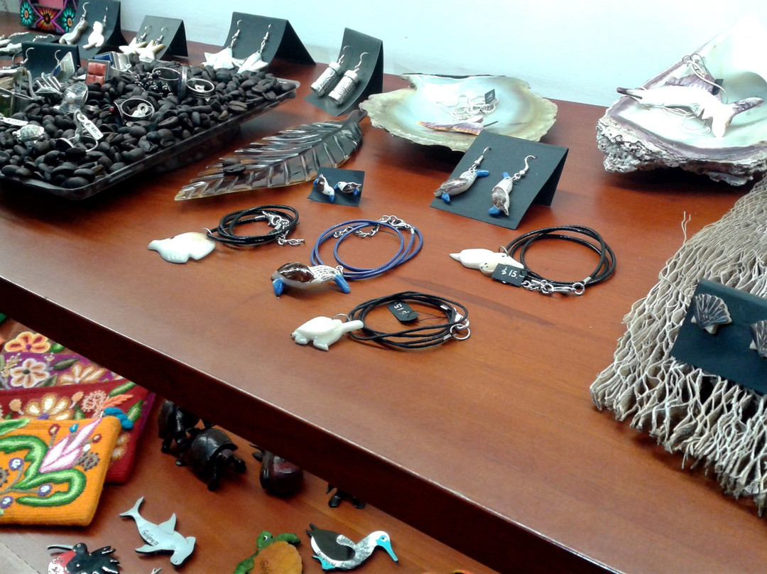 Maki-Art Gallery-阿约拉港必去景点