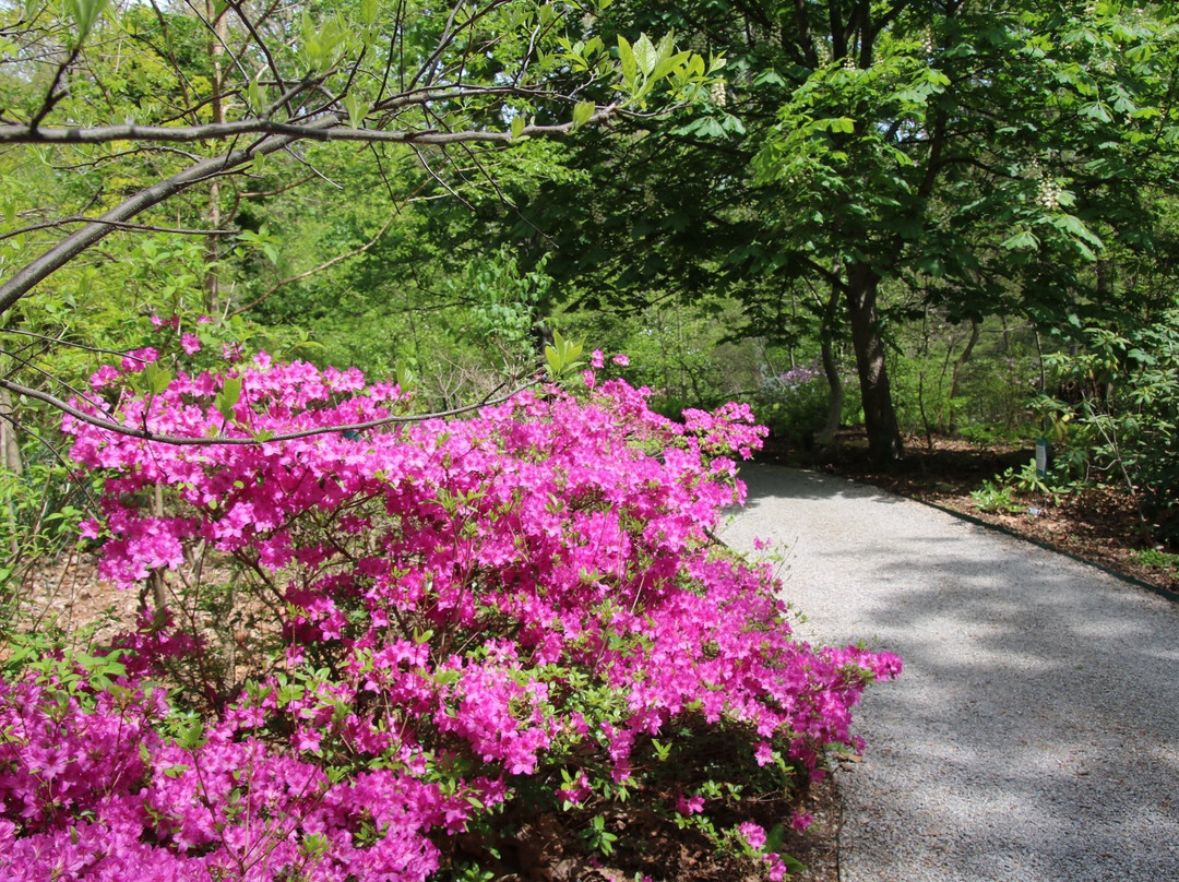 Mission Oaks Gardens-Zanesville必去景点