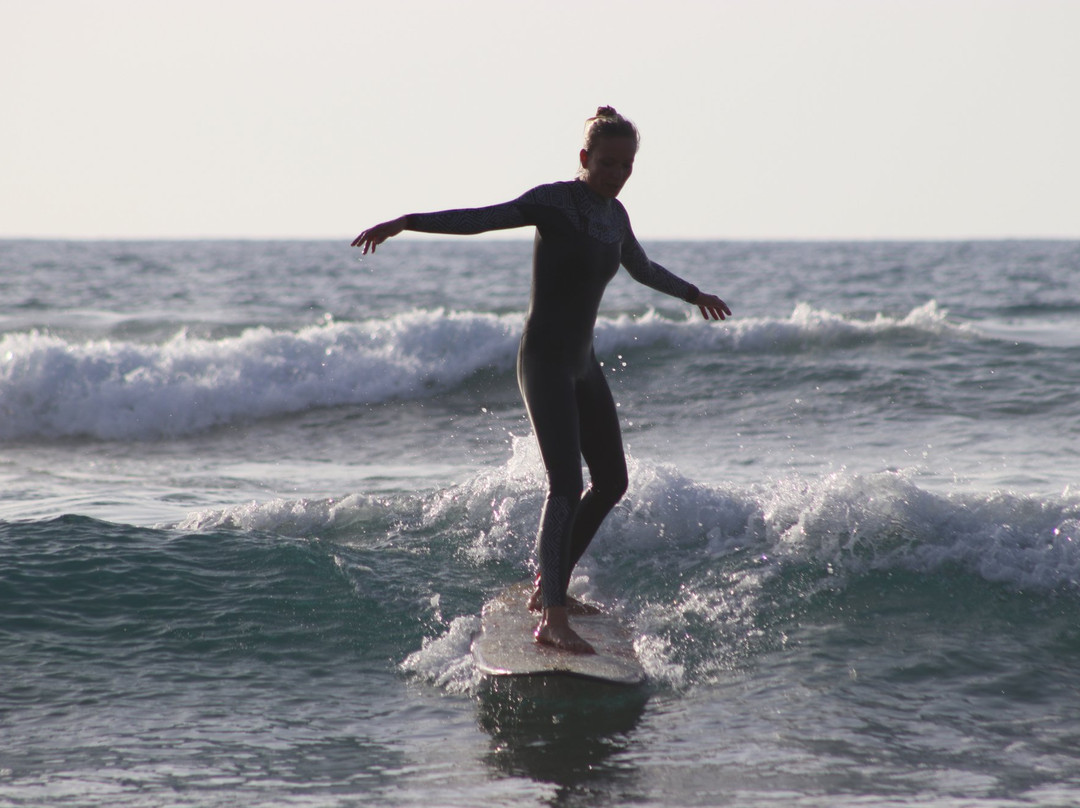 Nalusurf Surfschool景点图片