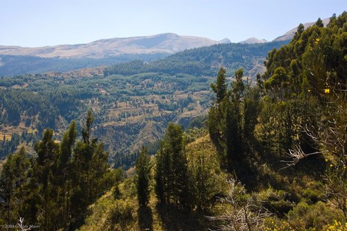Parque Nacional Tunari-科恰班巴必去景点