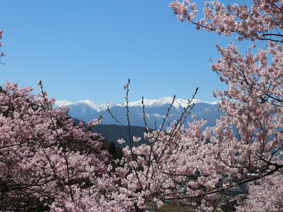 Takato Castle Remains Park景点图片