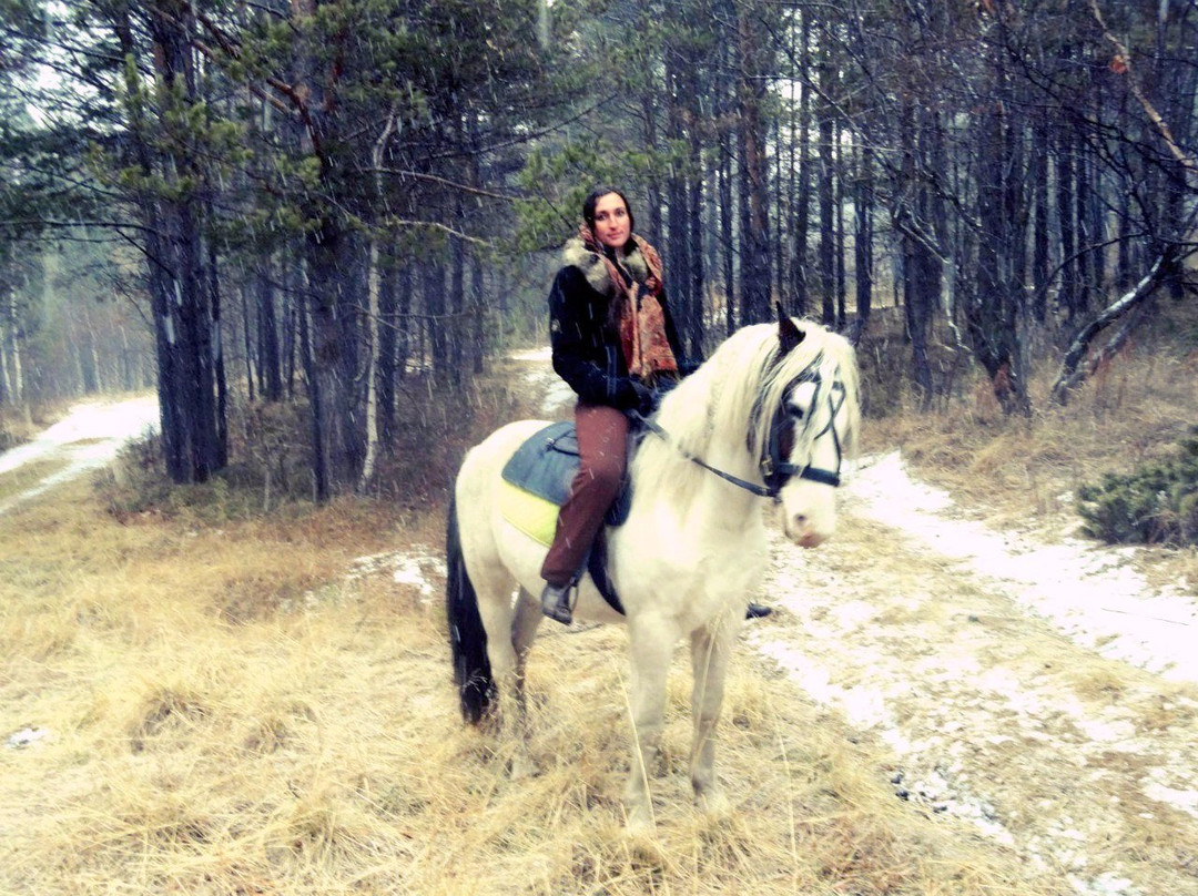 Baikal Horse-Riding and Tourist Center景点图片