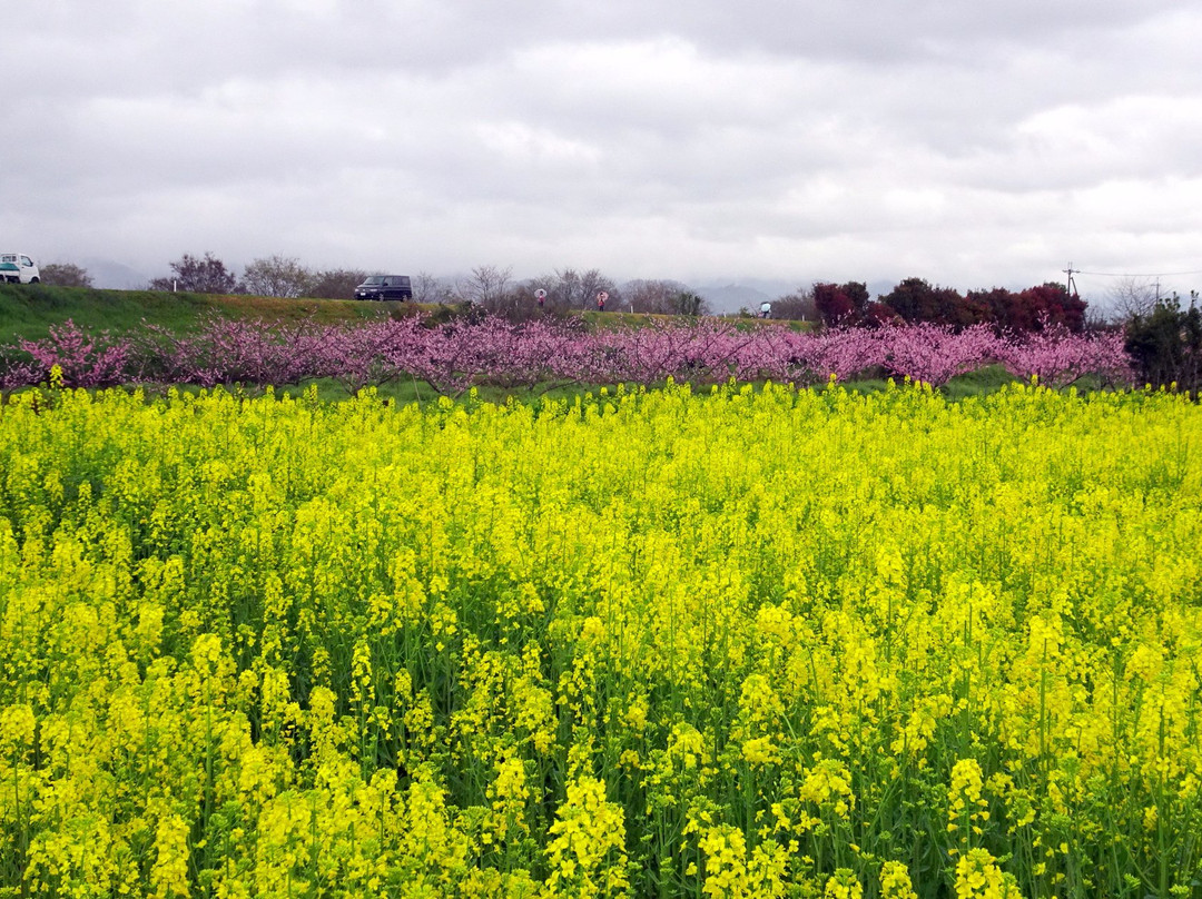 Togenkyo-纪之川市必去景点