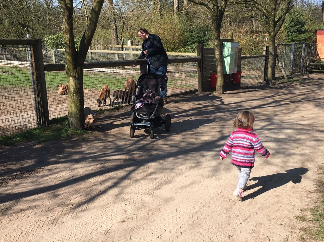 Wild- und Freizeitpark Ostrittrum景点图片