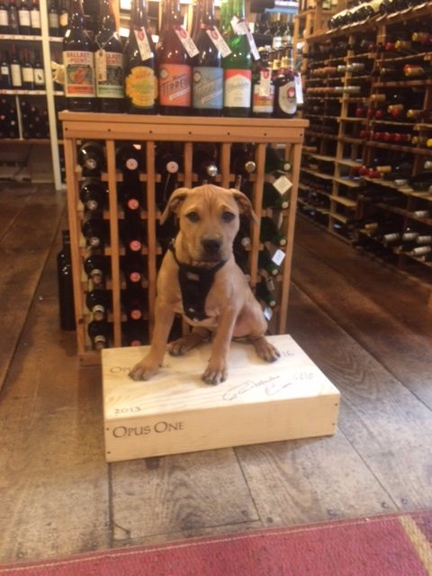 County Wine & Spirits-New Preston必去景点