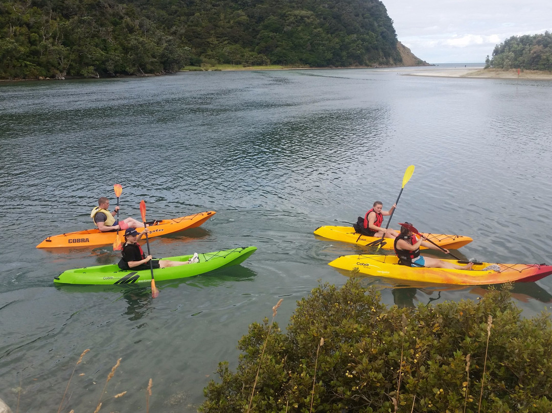 Hibiscus Kayak Hire-奥克兰中心地区必去景点