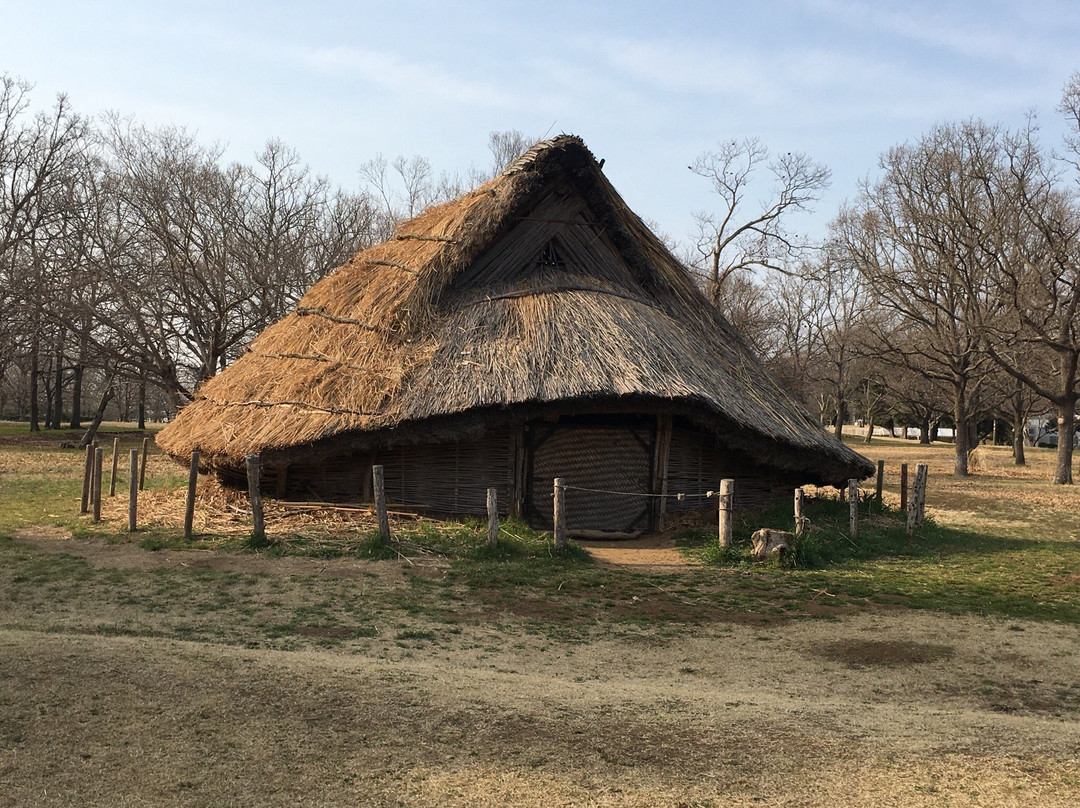Kasori Shellmounds Site Museum-千叶市必去景点
