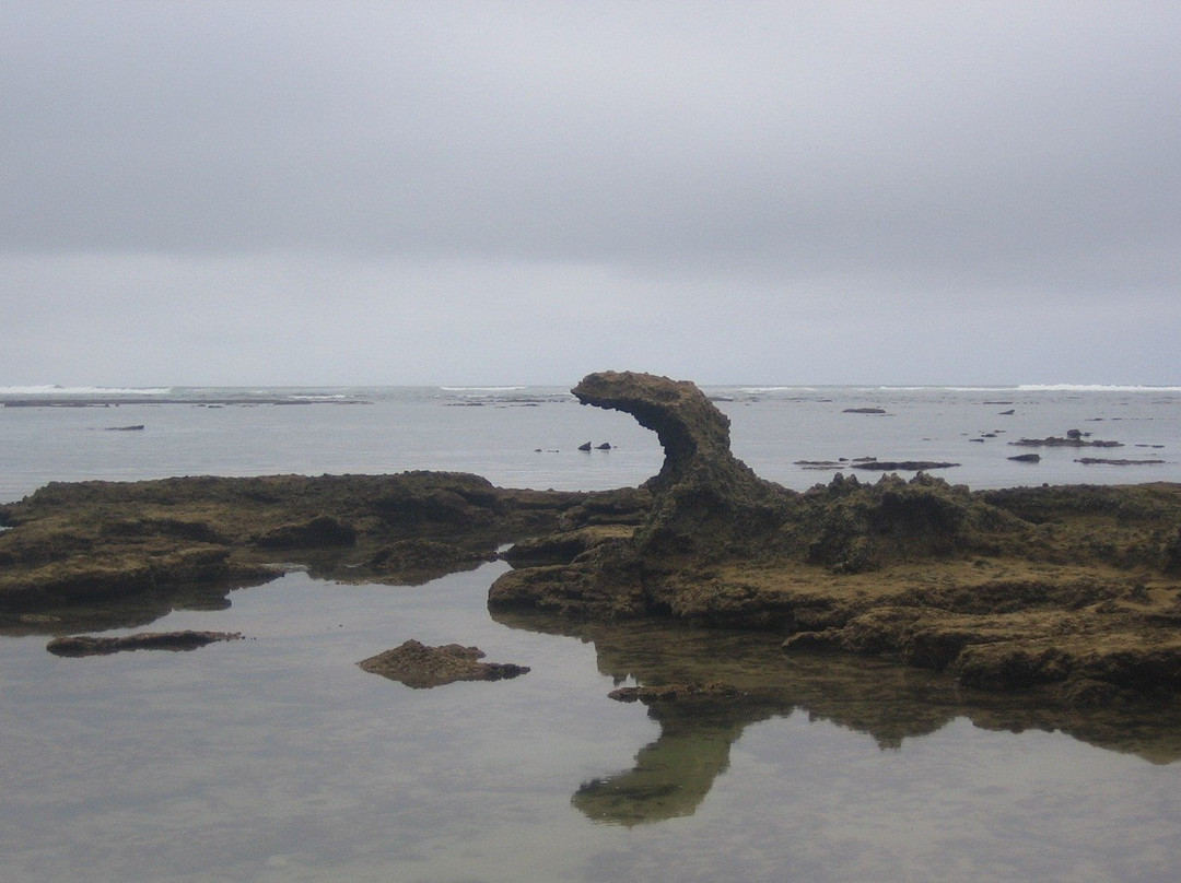 Geelkrans Nature Reserve-斯特尔拜必去景点