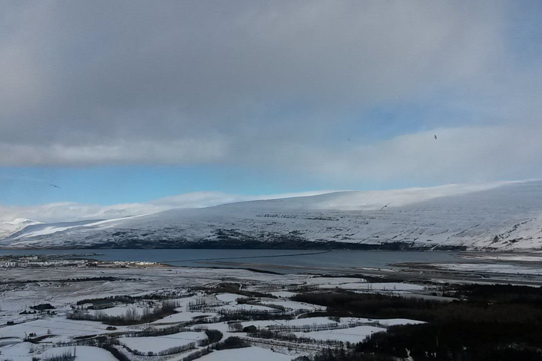 Estuary of the river Eyjafjardará-阿克雷里必去景点